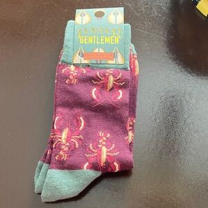 Men's Bamboo Socks - Burgundy and Teal